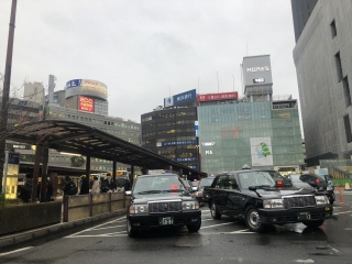 雨のYOKOHAMA！