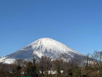 でかっ！