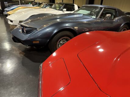アメ車屋ですが、植物もファッションも全力です。