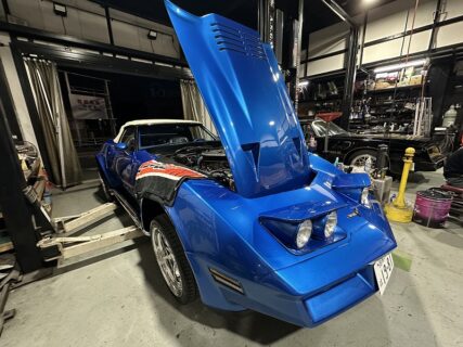 蕎麦、V8、そして猫