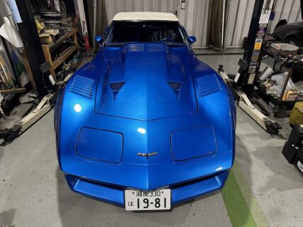 CATSとCORVETTEと、今日のハイビスカス