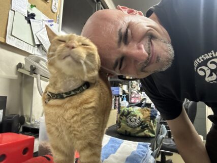 　V8と共に生きる、MARCELOの一日