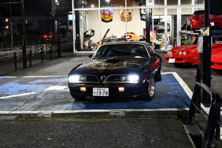 11月の青空と火の鳥!