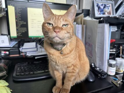 　年に一度の、原点確認