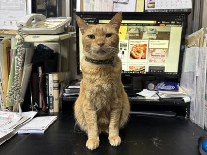 うれしい出来事！