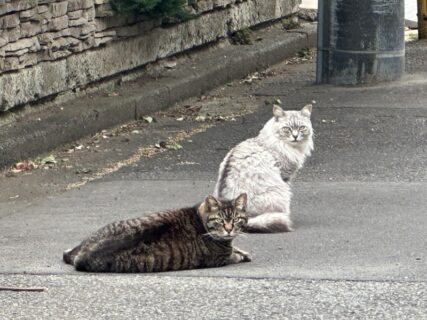 　静かな最終日、やっと塗れる。