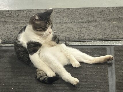 　シルバーウィーク最終日！